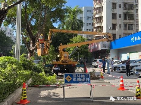 AG真人茂名城管园林部门修剪遮挡行道树保障城市照明(图2)